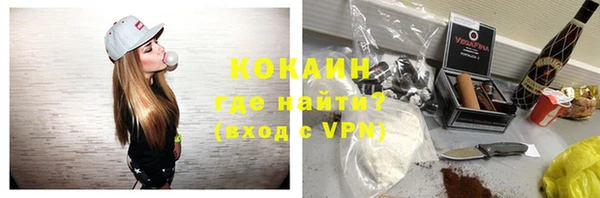 гидра Кулебаки