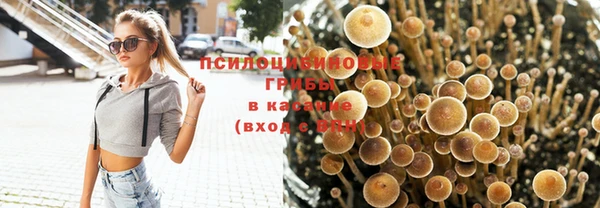 гидра Кулебаки