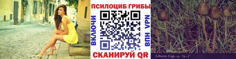 Псилоцибиновые грибы Magic Shrooms  купить наркотик  Дзержинск 