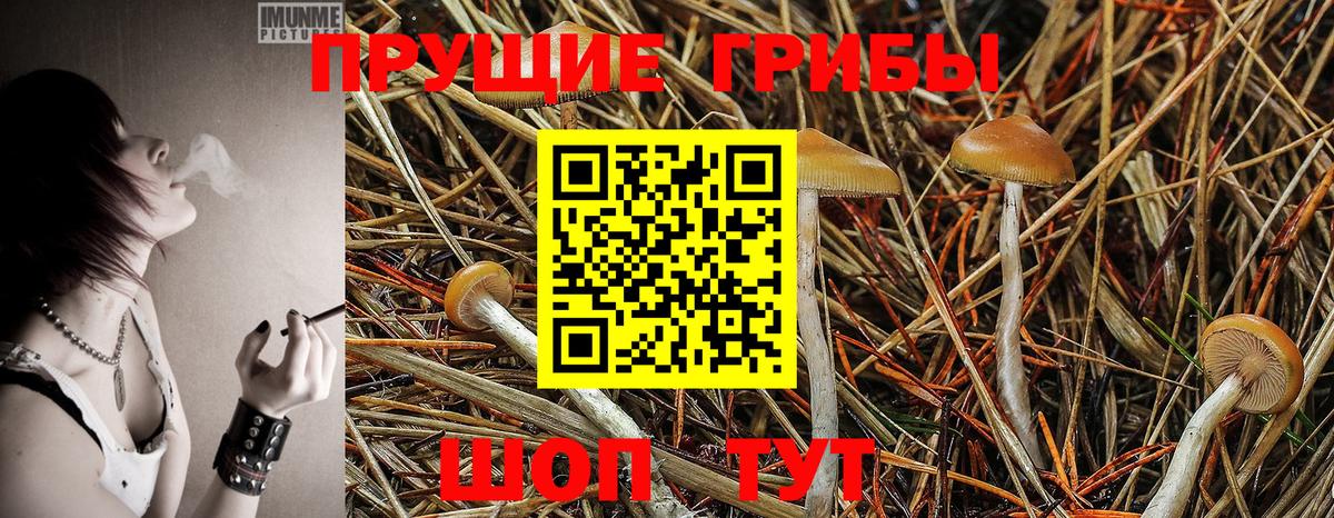 Псилоцибиновые грибы мухоморы  Вход с VPN  Галлюциногенные грибы Magic Shrooms  Дзержинск 